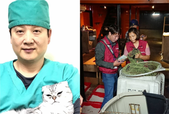 雙和動物醫院院長驟逝 81隻貓盼民眾踴躍認養延續大愛